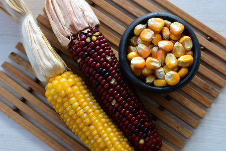 (Zea mays) Whole and shelled dry multi-colored corn with dry leaves on wooden