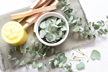 Eucalyptus or Eucalyptus (Eucalyptus) green dry leaves in corsage and loose on light backgroundの写真素材