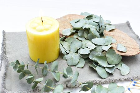 Eucalyptus or Eucalyptus (Eucalyptus) green dry leaves in corsage and loose on light backgroundの写真素材
