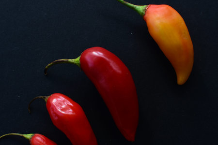Capsicum Red and green and yellow bell peppers and chili peppers, displayed watered on a wooden...