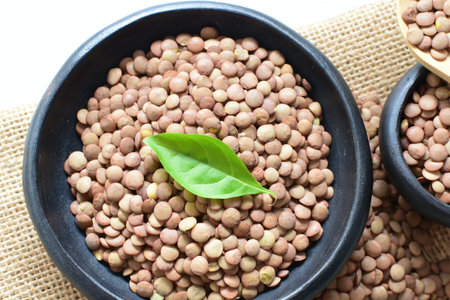 (Lens culinaris) raw lentils displayed in different containers - Lentils on flat bottoms