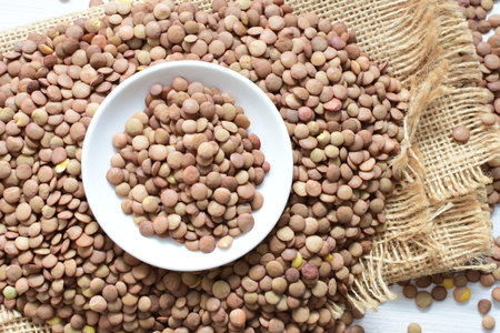 (Lens culinaris) raw lentils displayed in different containers - Lentils on flat bottoms