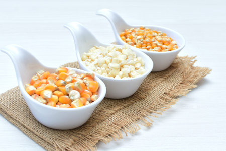 Corn - corn - Zea mays whole and shelled cob of white and yellow corn displayed in containers