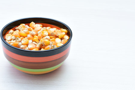 Corn - corn - Zea mays whole and shelled cob of white and yellow corn displayed in containers