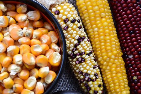 Corn - corn - Zea mays whole and shelled cob of white and yellow corn displayed in containersの写真素材