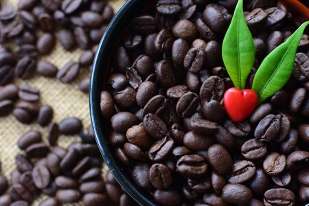 Coffee beans from the mountains of Colombia displayed in containers, watered on a flat backgroundの写真素材