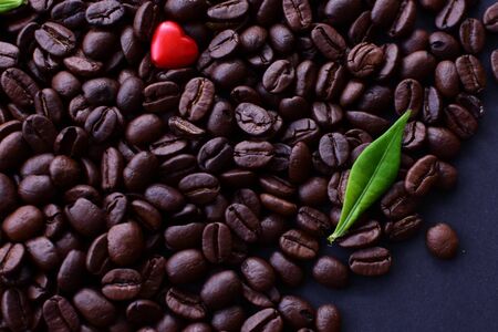 Coffee beans from the mountains of Colombia displayed in containers, watered on a flat backgroundの写真素材