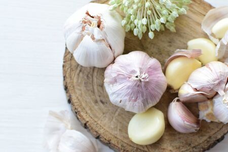 Allium sativum - Whole and minced garlic accompanied by garlic flower on decorated flat backgroundの写真素材