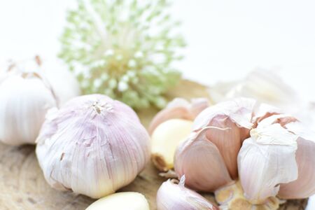 Allium sativum - Whole and minced garlic accompanied by garlic flower on decorated flat backgroundの写真素材