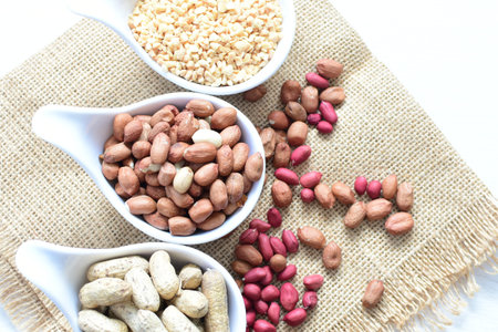 Arachis hypogaea - Peanut variety in seed, whole and crushed peanuts displayed in containers on...