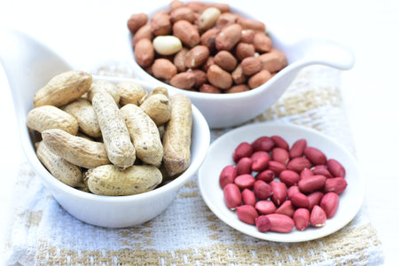 Arachis hypogaea - Peanut variety in seed, whole and crushed peanuts displayed in containers on...