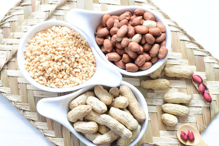 Arachis hypogaea - Peanut variety in seed, whole and crushed peanuts displayed in containers on...