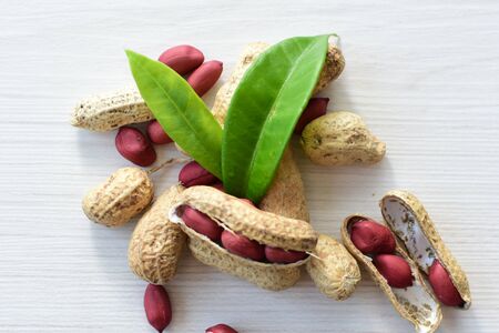 Arachis hypogaea - groundnut, whole, displayed in containers on white wooden backgroundの写真素材