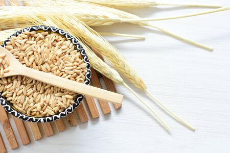 Avena sativa - Raw and natural watered grain oats, displayed in containers, flat bottomの写真素材