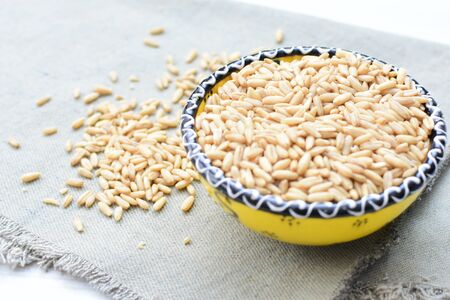 Avena sativa - Raw and natural watered grain oats, displayed in containers, flat bottomの写真素材