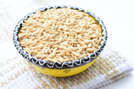 Avena sativa - Raw and natural watered grain oats, displayed in containers, flat bottomの写真素材