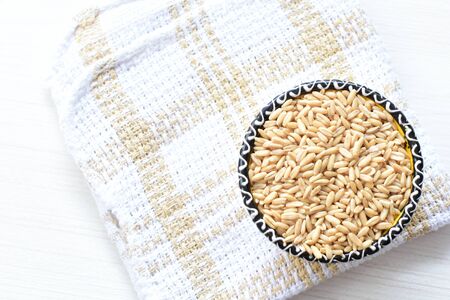 Avena sativa - Raw and natural watered grain oats, displayed in containers, flat bottomの写真素材