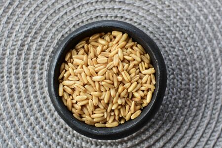 Avena sativa - Raw and natural watered grain oats, displayed in containers, flat bottomの写真素材