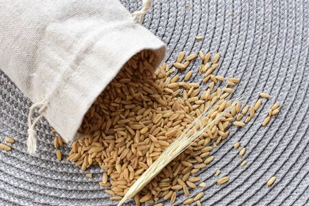 Avena sativa - Raw and natural watered grain oats, displayed in containers, flat bottomの写真素材