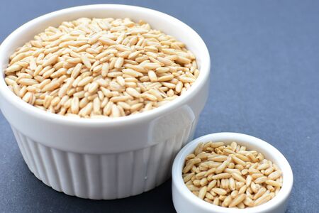 Avena sativa - Raw and natural watered grain oats, displayed in containers, flat bottomの写真素材