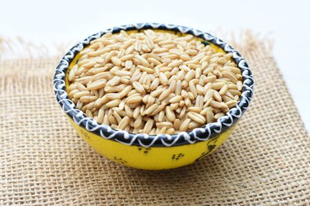 Avena sativa - Raw and natural watered grain oats, displayed in containers, flat bottomの写真素材