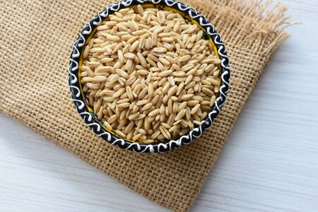 Avena sativa - Raw and natural watered grain oats, displayed in containers, flat bottomの写真素材