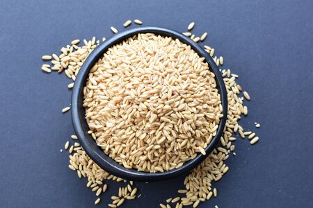Avena sativa - Raw and natural watered grain oats, displayed in containers, flat bottomの写真素材