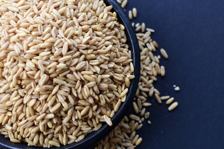 Avena sativa - Raw and natural watered grain oats, displayed in containers, flat bottomの写真素材