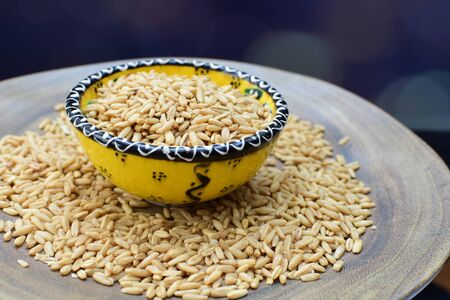 Avena sativa - Raw and natural watered grain oats, displayed in containers, flat bottomの写真素材