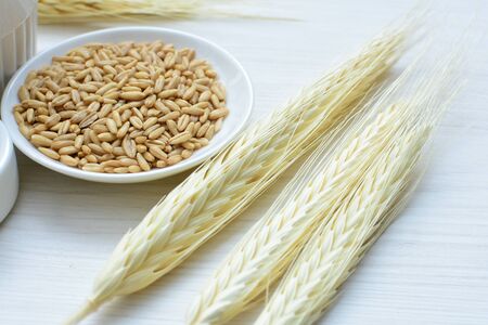 Avena sativa - Raw and natural watered grain oats, displayed in containers, flat bottomの写真素材