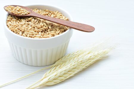 Avena sativa - Raw and natural watered grain oats, displayed in containers, flat bottomの写真素材