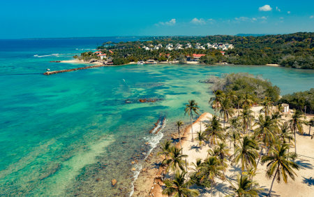 Aerial view of beautiful tropical beach and sea with coconut palm treeの写真素材
