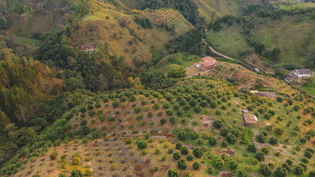 Aerial view of the village in the mountains, Madeira, Portugalの写真素材