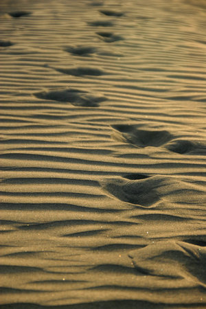 Footsteps on the sand