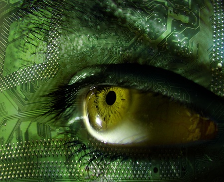 eye chipの写真素材