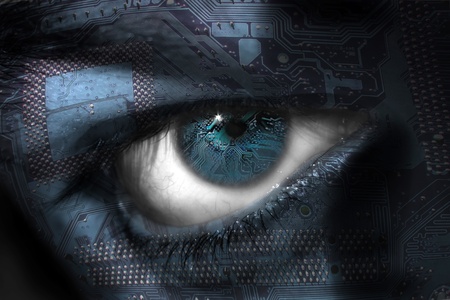 eye chipの写真素材