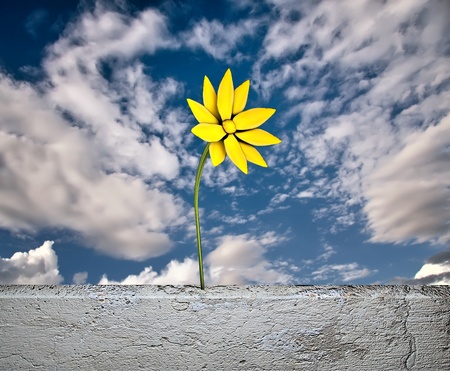flowerの写真素材