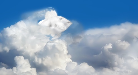 blues skyの写真素材