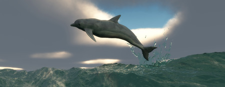 illustration of Marine mammal swimming in the seaの写真素材