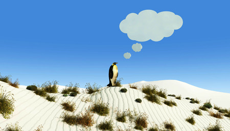 illustration of a penguin in a desert imaginingの写真素材