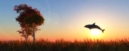 ears of wheat and dolphinの写真素材