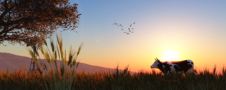 crow and ears of wheat and skyの写真素材