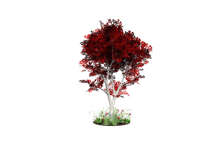 illustration of a tree with white backgroundの写真素材