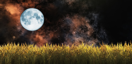 illustration of the moon and a wheat fieldの写真素材