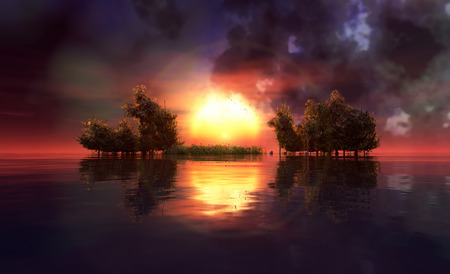 sunset and trees in flower fieldの写真素材
