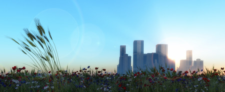 flowers,city, and wheat landscapeの写真素材