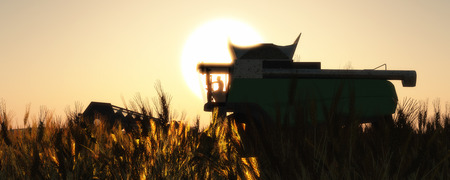 wheat harvester working in wheat fieldの写真素材