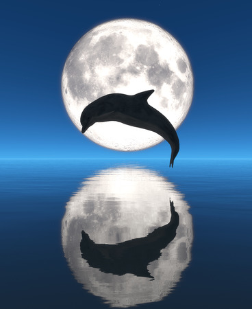 dolphin, moon and reflectionの写真素材