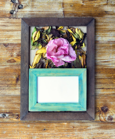 concept autumn picture frames of different colors, flowers and leavesの写真素材
