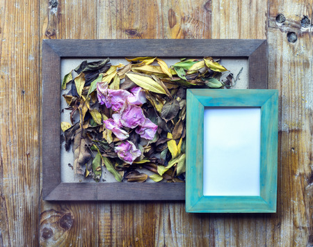concept autumn picture frames of different colors, flowers and leavesの写真素材